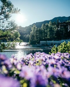 Pictures of wellness & spa holidays at the hotel Austria